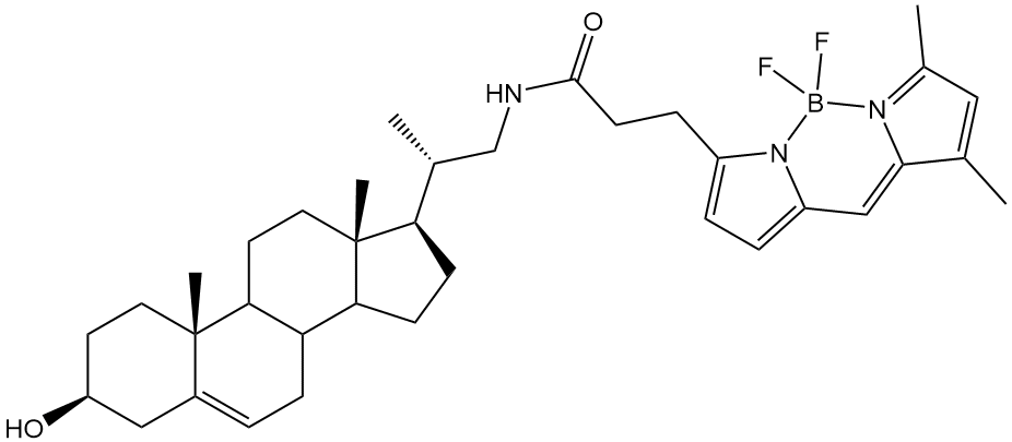 BODIPY FL Cholesterol - Ruixibiotech