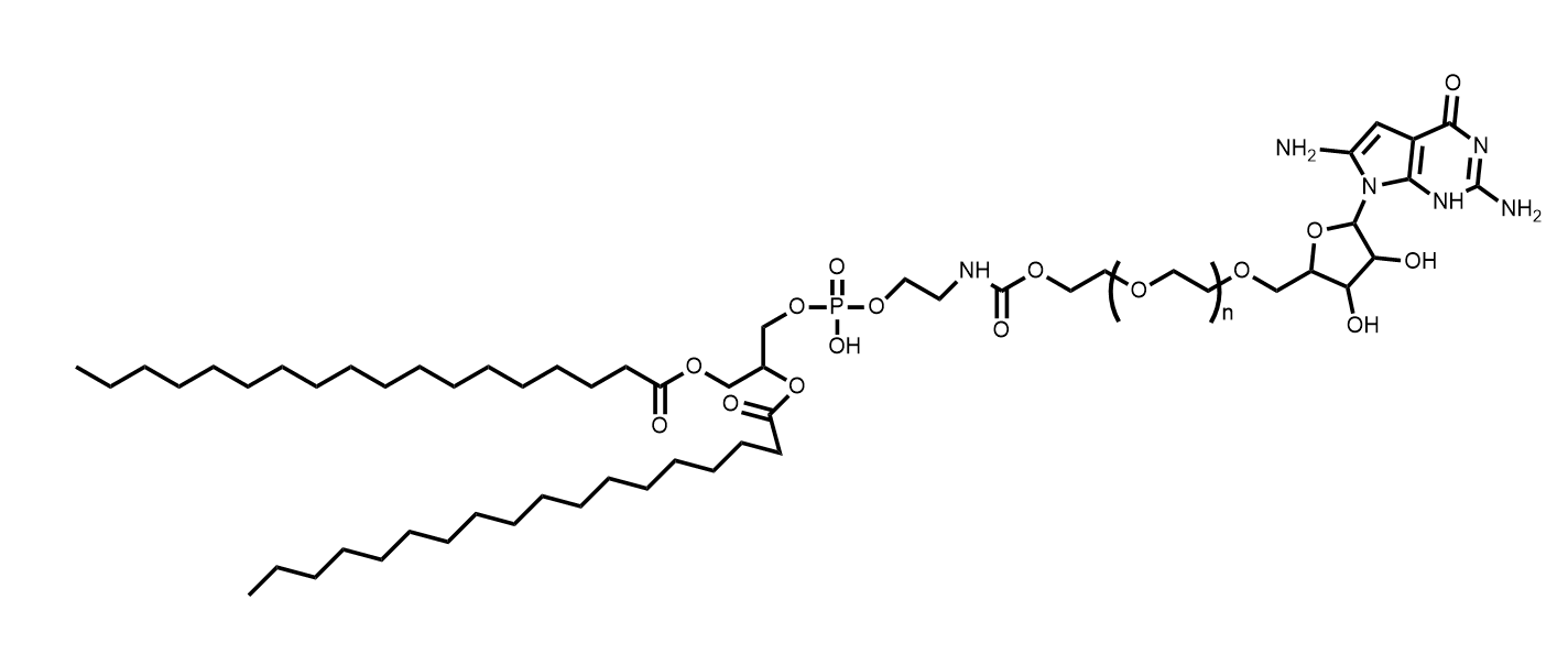 Trastuzumab-PEG-DSPE