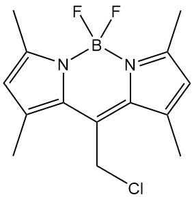 CellTracker Green BODIPY 