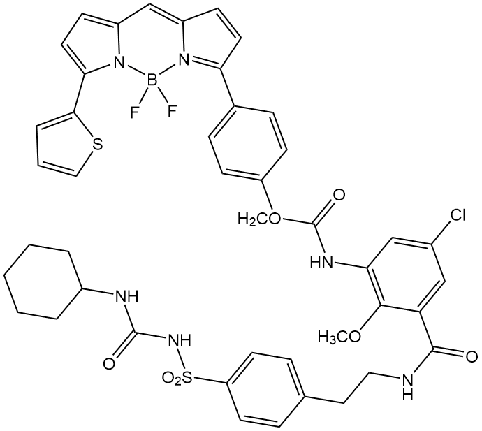 BODIPY TR Glibenclamide