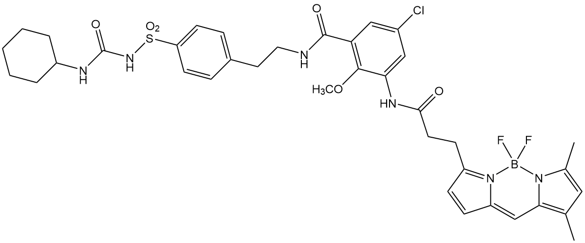 BODIPY FL Glibenclamide