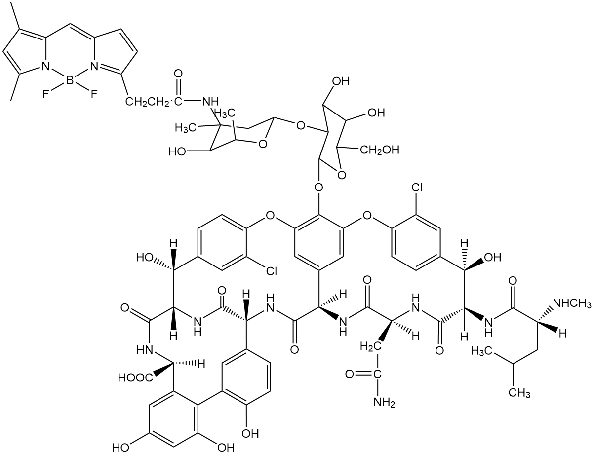 Vancomycin, BODIPY FL Conjugate