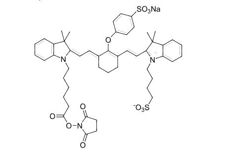 IRDye® 800RS NHS Ester