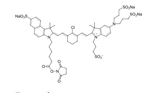 IRDye® QC-1 NHS Ester  