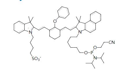 IRDye® 800 Phosphoramidite,cas:211380-08-4