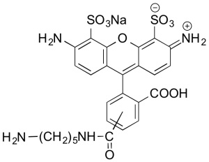 AZDye 488 Cadaverine   