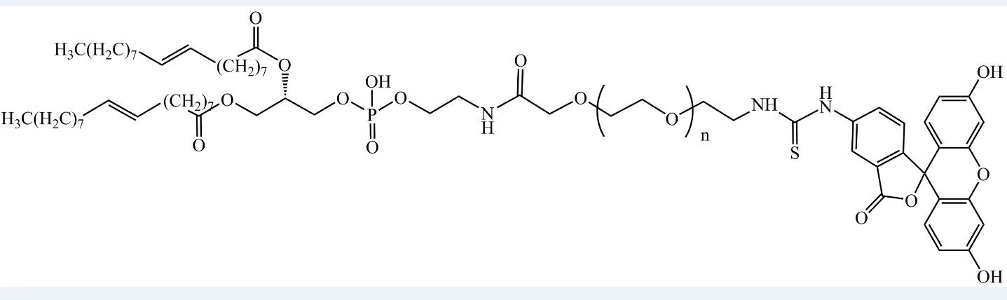 DOPE-PEG-FITC