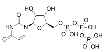 Uridine triphosphate,cas:63-39-8