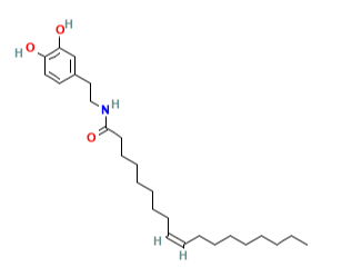 N-Oleoyldopamine(OLDA),CAS:105955-11-1