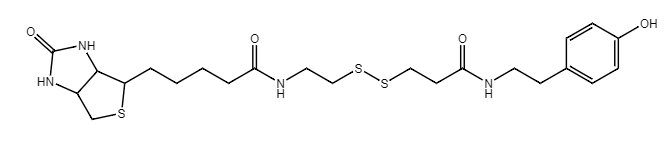 Biotin-SS-Tyramide,CAS:678975-20-7