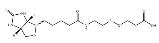 Biotin-SS-COOH ,CAS:104582-29-8 