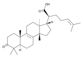 β-Elemonic Acid,CAS:28282-25-9