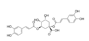 1,3-Dicaffeoylquinic acid,cas:19870-46-3