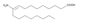 10-Nitrooleate,cas:875685-46-4