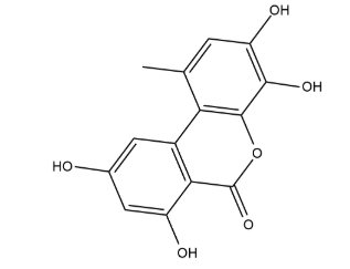 4-hydroxy Alternariol,cas:959417-21-1 