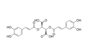 Chicoric acid,cas:6537-80-0