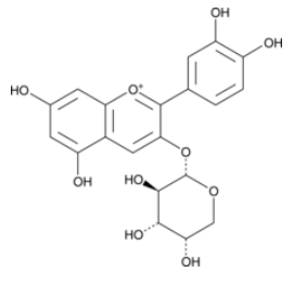 Cyanidin 3-O-arabinoside,cas:792868-19-0