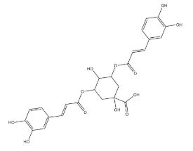 Isochlorogenic acid A,cas:2450-53-5