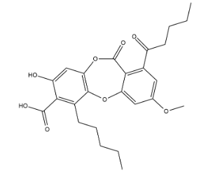 Lobaric Acid,cas:522-53-2