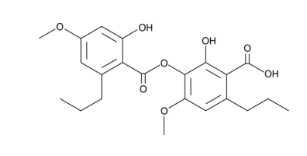 Sekikaic Acid,cas:607-11-4