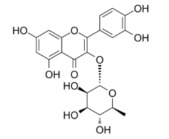 Quercitrin,cas:522-12-3