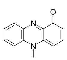 Pyocyanin,cas:85-66-5