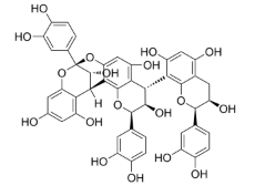 Cinnamtannin B-1,cas:88082-60-4