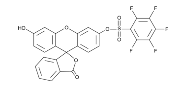 Pentafluorobenzenesulfonyl fluorescein,cas:728912-45-6