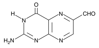 6-Formylpterin,cas:712-30-1