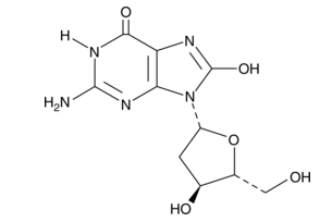 8-Hydroxy-2-deoxyguanosine,cas:88847-89-6