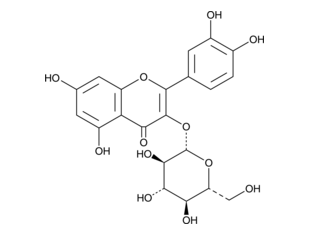 Isoquercetin,cas:482-35-9