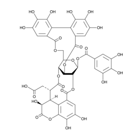 Chebulagic Acid,cas:23094-71-5