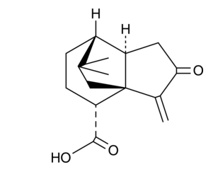 Terrecyclic Acid,cas:83058-94-0