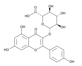 Kaempferol 3-glucuronide,cas:22688-78-4