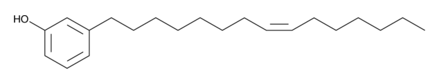 Cardanol monoene,cas:501-26-8