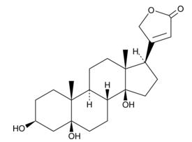 Periplogenin,cas:514-39-6