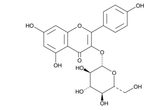 Kaempferol-3-glucoside,cas:480-10-4