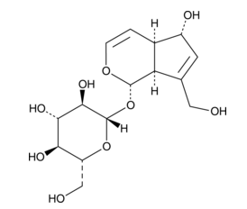 Aucubin,cas:479-98-1