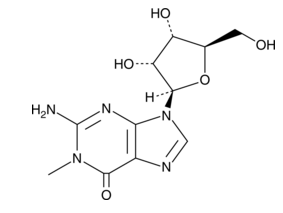 N1-Methylguanosine,cas:2140-65-0