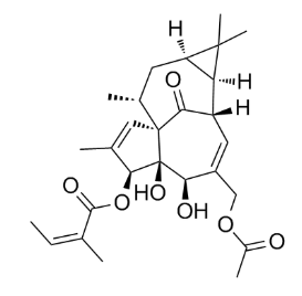 20-O-Acetylingenol-3-angelate,cas:82425-35-2