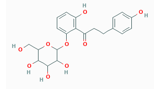 4-Deoxyphlorizin,cas:4319-68-0