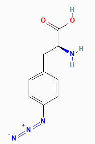 4-Azido-L-phenylalanine,cas:33173-53-4