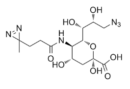 A 419259 trihydrochloride,cas:1435934-25-0