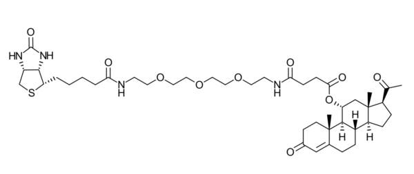 PROGESTERONE-11-HEMISUCCINATE-PEG3-BIOTIN