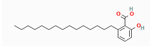 Anacardic Acid,cas:16611-84-0