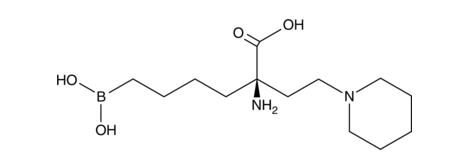 Arginase inhibitor 1,cas:1345808-25-4