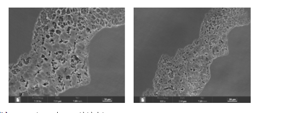 ROS responsive hydrogel