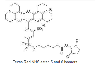 Texas Red NHS ester