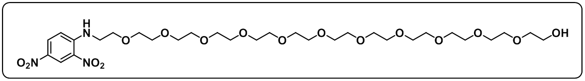 DNP-PEG12-OH