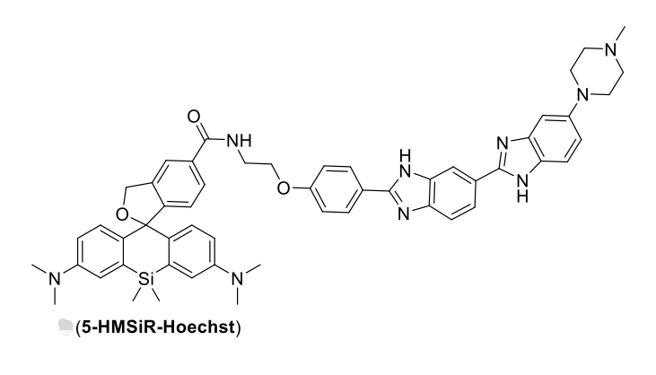 5-HMSiR-Hochest